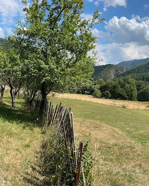 Teren Montan 6.572 mp Jieț (Petrila , Județul Hunedoara) - imagine 4