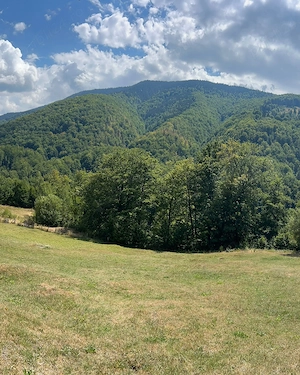Teren Montan 6.572 mp Jieț (Petrila , Județul Hunedoara) - imagine 5