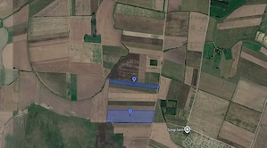 Teren arabil la Salonta 7,44 Ha - imagine 4