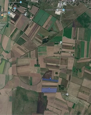 Teren arabil la Salonta 7,44 Ha - imagine 5