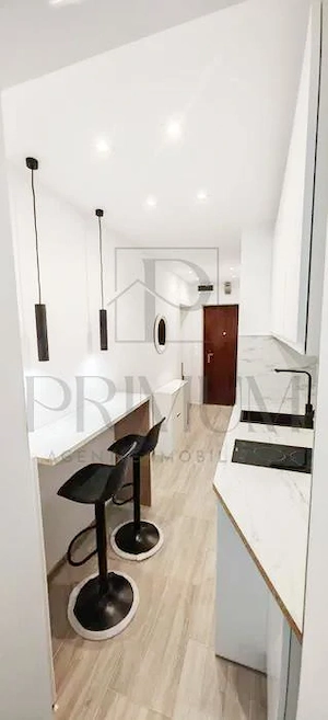 BLASCOVICI - 1CAM - DECOMANDAT - RENOVAT - PRETABIL INVESTITII - imagine 3