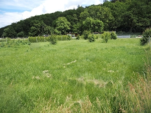 Teren intravilan in Cristian, Brasov, direct proprietar