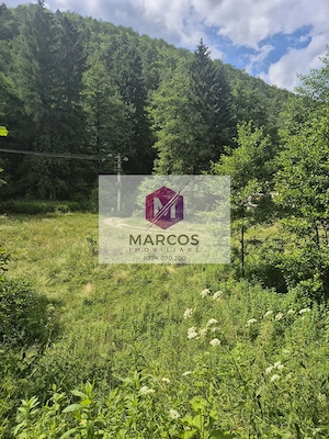 Teren Valiug, 612mp,ID 1036 - imagine 12