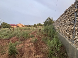 Teren Intravilan de vânzare în Mogosoaia - imagine 2