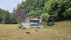 Căsuță de vacanță de vânzare – comuna Alexandru cel Bun, Neamț - imagine 2