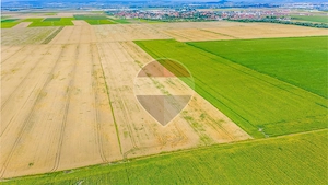 Comision 0% | Teren extravilan agricol 20.000 mp | Cristian, Brașov - imagine 8
