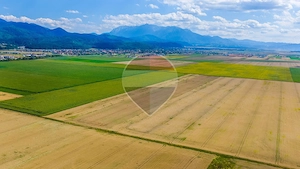 Comision 0% | Teren extravilan agricol 20.000 mp | Cristian, Brașov