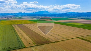 Comision 0% | Teren extravilan agricol 20.000 mp | Cristian, Brașov - imagine 5