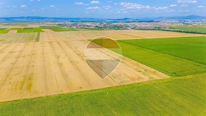 Comision 0% | Teren extravilan agricol 20.000 mp | Cristian, Brașov - imagine 6