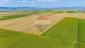 Comision 0% | Teren extravilan agricol 20.000 mp | Cristian, Brașov - imagine 3