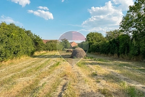 Casă 2 camere | Moldovenesti, Cluj | Mobilată complet - imagine 15