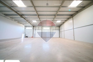 Hala de inchiriat | 1200 mp utili | Campia Turzii Zona Industriala - imagine 5