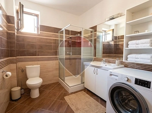 Vilă cu 4 camere de închiriat în zona Primaverii - imagine 12