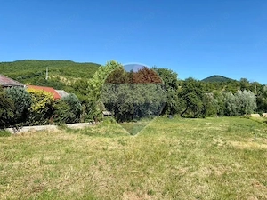 Teren 3,154mp Barsana /  centrul satului - imagine 2