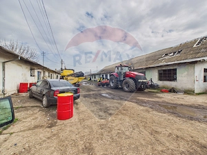 Proprietate industriala strategica 7950 mp Lehliu Gara - imagine 9