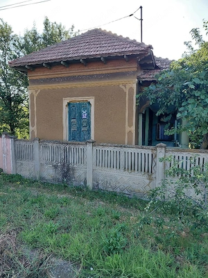 Vand casa si curte in satul Beiu, judetul Teleorman - imagine 2