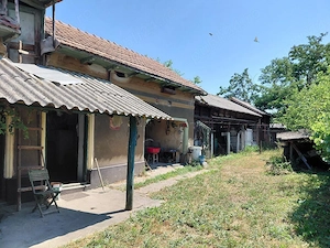 Vand casa si curte in satul Beiu, judetul Teleorman - imagine 3