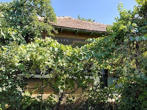 Vand casa si curte in satul Beiu, judetul Teleorman - imagine 4