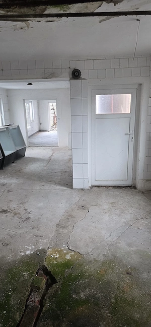 vand casa în Biharia  - imagine 3