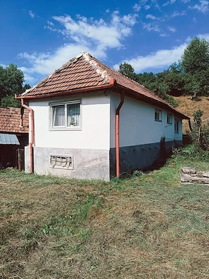 Casă de vânzare în Valea Jiului ,Paroșeni jud Hunedoara   teren 1 Ha, anexe și utilități - imagine 4