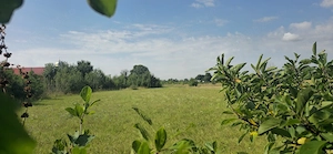 casa taraneasca 