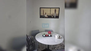 COMISION 0% | APARTAMENT 4 CAMERE | PRELUNGIREA GHENCEA|ANIMALUTE MICI - imagine 12
