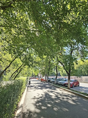 Apartament 3 camere decomandat | Bd. Gheorghe Șincai nr. 14 | Etaj 2 8 | Loc de parcare | 209.000    - imagine 4