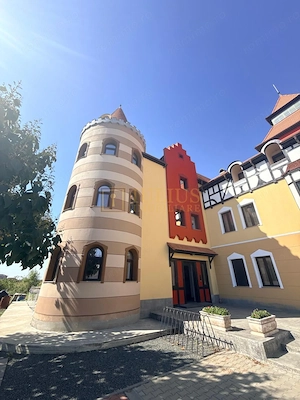 Mosnita Noua-Castel Royal| 2 camere| stil bavarez din lemn si piatra naturala - imagine 17