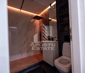 Apartament cu 2 camere semidecomandat in zona Lipovei - imagine 11