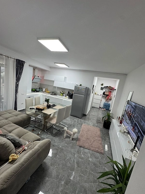 3 camere- Lipovei - Dumbravita - Padure - imagine 2