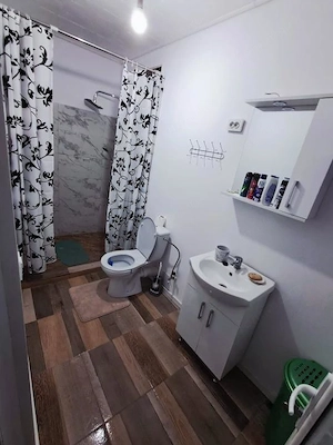 Varias - Casa 7 Camere -Proiect 2 Familii -Teren Generos - imagine 16