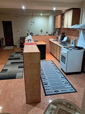 Varias - Casa 7 Camere -Proiect 2 Familii -Teren Generos - imagine 11