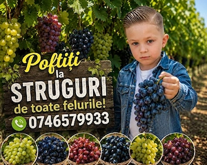 poftiți la cristian la struguri proaspeți 