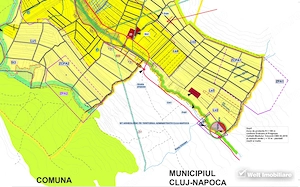 8.700 mp pentru dezvoltare rezidentiala la 3 km de CREIC - Chinteni - imagine 3