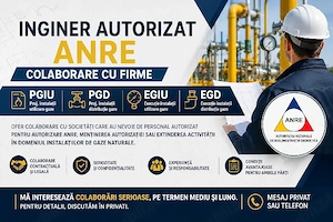 Inginer autorizat ANRE