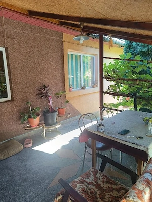 Casa Vermes cu 4900 mp teren - imagine 6
