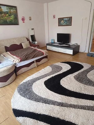 Casa Vermes cu 4900 mp teren - imagine 8