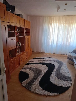 Casa Vermes cu 4900 mp teren - imagine 9