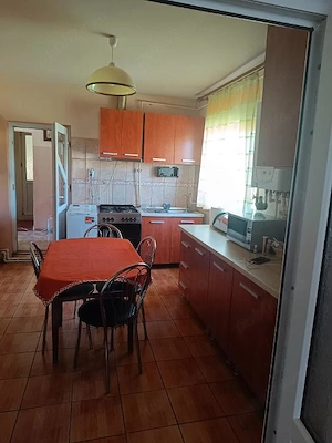 Casa Vermes cu 4900 mp teren - imagine 7