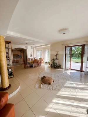 Vilă exclusivistă pe malul Begăi | 380 mp utili, 3.982 mp parc privat și ponton  - imagine 3