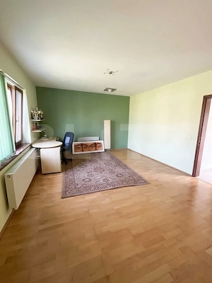 Vilă exclusivistă pe malul Begăi | 380 mp utili, 3.982 mp parc privat și ponton  - imagine 11