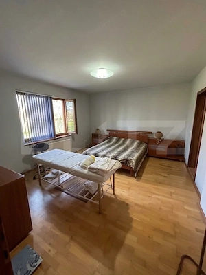 Vilă exclusivistă pe malul Begăi | 380 mp utili, 3.982 mp parc privat și ponton  - imagine 9