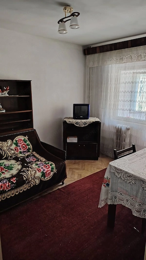 Apartament 3 camere de vânzare în Băile Herculane - Hercules Imobiliare - imagine 4
