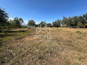 Casa Individuală 52mp + Teren Intravilan 10.651 mp| zona Oarda de Sus - imagine 4