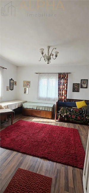 CASA CU TEREN GENEROS IN HERINA, BN – OPORTUNITATE DE INVESTITIE TURISTICA SAU REZIDENTIALA - imagine 9