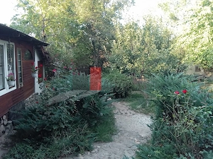 Vânzare teren intravilan Dărăști-Vlașca - imagine 5