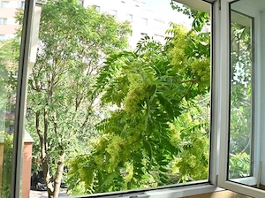 2 camere| Deosebit | Retras | Moșilor - Dacia - Eminescu - imagine 6