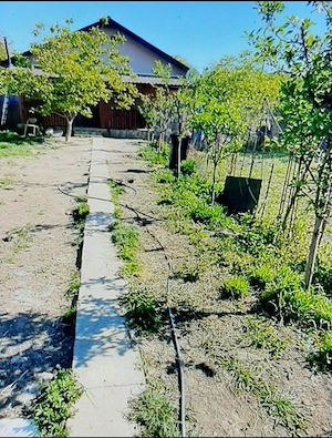 Proprietar vand casa noua 2024 in zona Ronat  - imagine 3