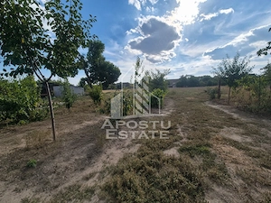 Casa de vanzare, Localitatea Ciacova, Judet Timis - imagine 12