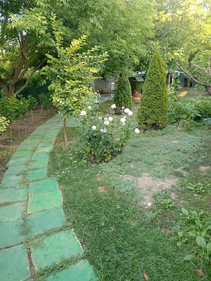 Vând casă + teren în Poarta Albă, zonă centrală - imagine 3